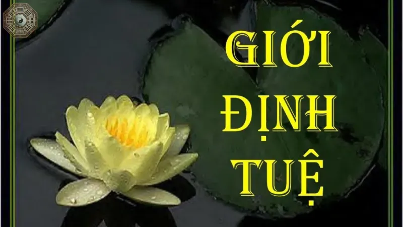 Định - Sự tập trung và tĩnh lặng của tâm trí