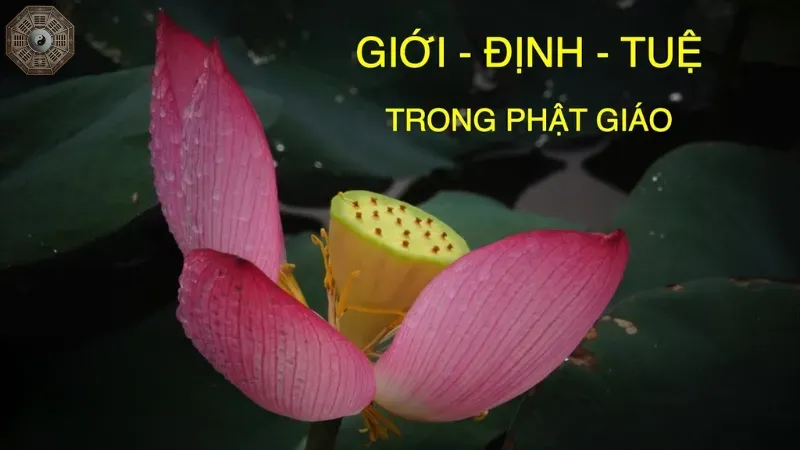 Giới - Định - Tuệ: Con đường duy nhất đến giải thoát