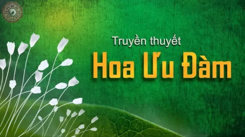 Nguồn gốc và lịch sử hoa ưu đàm