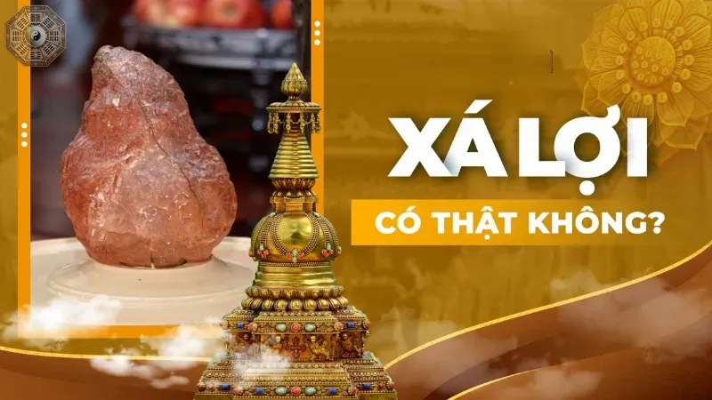 Giới thiệu về Xá lợi Phật Thích Ca