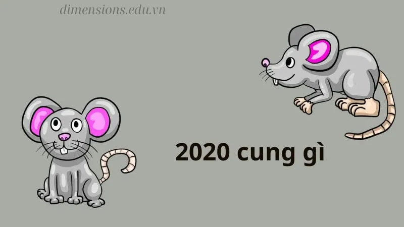 Sinh năm 2020 mệnh gì - khám phá tử vi canh tý 4