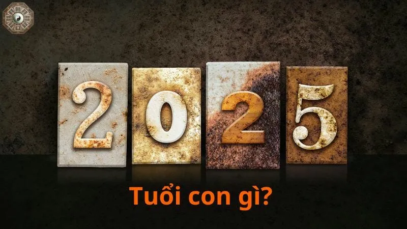 Sinh năm 2025 mệnh gì? Khám phá tử vi Ất Tỵ 3