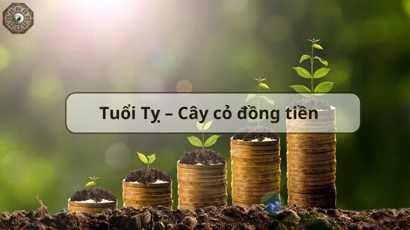 Top cây phong thủy hút tài lộc và may mắn cho gia đình bạn 6
