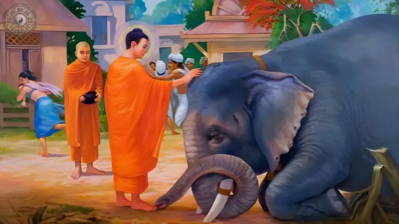 Ý nghĩa trong đời sống 