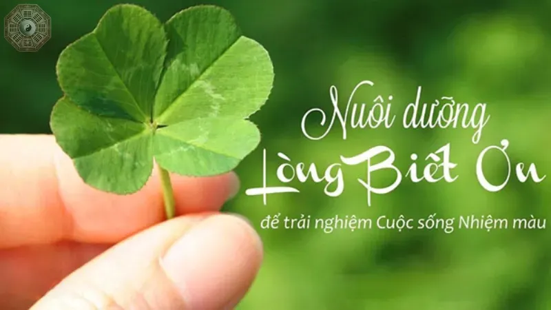 Rèn luyện tư duy tích cực