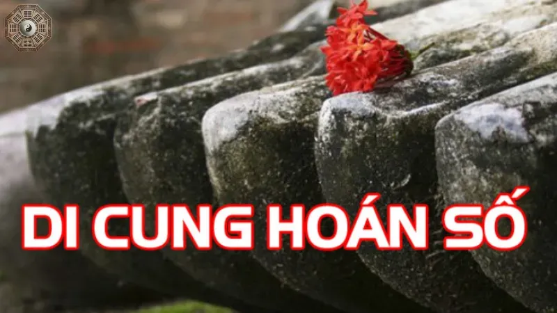 Giới thiệu về di cung hoán số