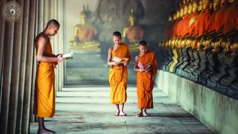 Đức Phật và sự phát triển của Phật giáo