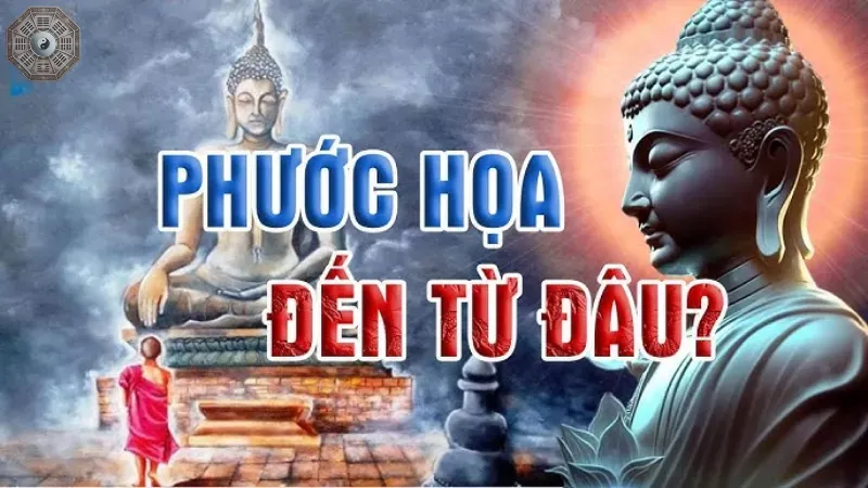 Các hình thức hồi hướng phổ biến