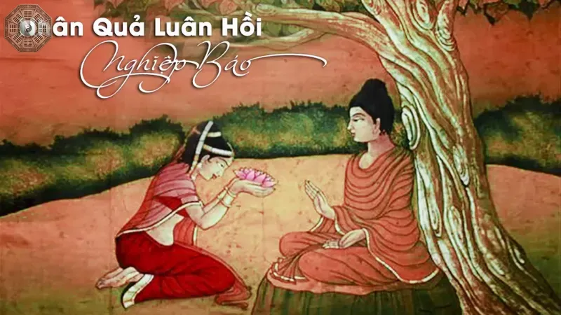 Nhân quả và nghiệp báo trong Luân hồi