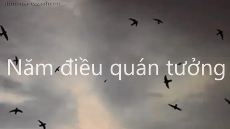 Giới thiệu về năm điều quán tưởng trong Phật giáo