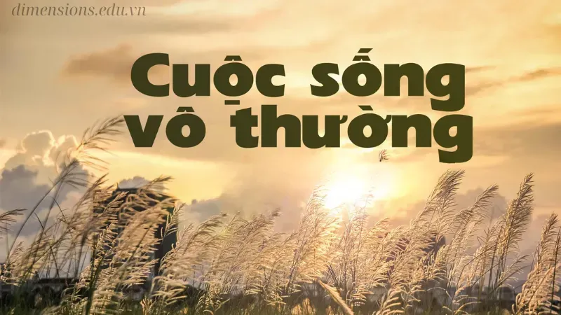 Sự vô thường của cuộc sống