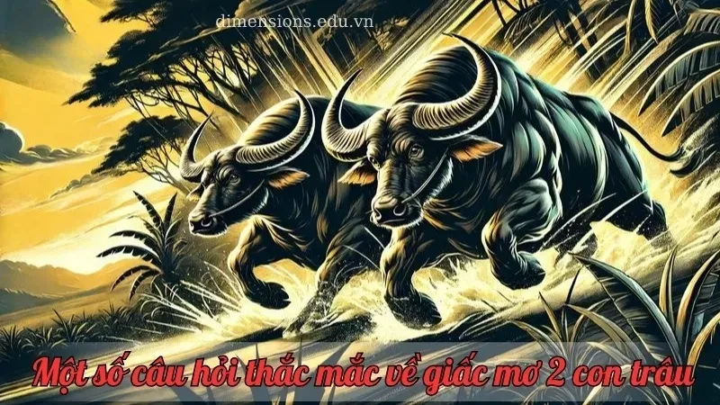 Nằm mơ thấy 2 con trâu là dấu hiệu tốt hay xấu? Giải mã cụ thể giấc mơ 6