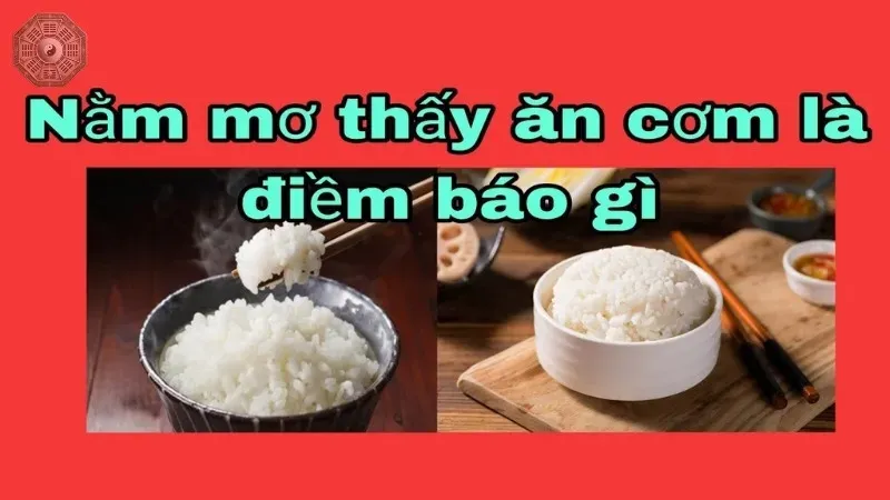 Mơ thấy ăn cơm là điềm báo gì? Con số đẹp nào tương ứng với giấc mơ 3