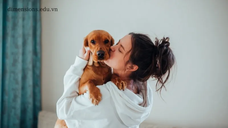 Nằm mơ thấy chó quấn quýt là điềm báo gì cho cuộc sống của bạn? 3
