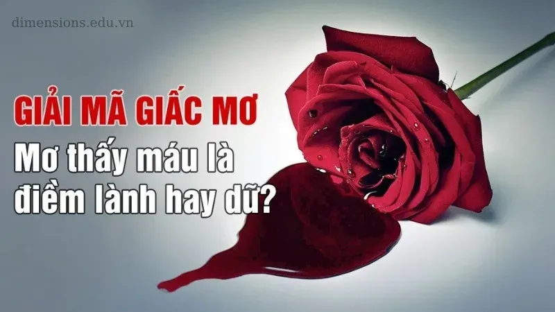 Nằm mơ thấy máu là điềm gì? Những điều chi tiết bạn cần biết 5