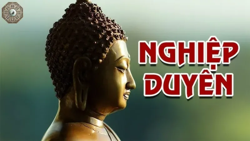 Giới thiệu nghiệp duyên