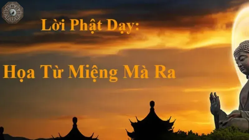 Cách áp dụng nghiệp và nhân quả trong cuộc sống