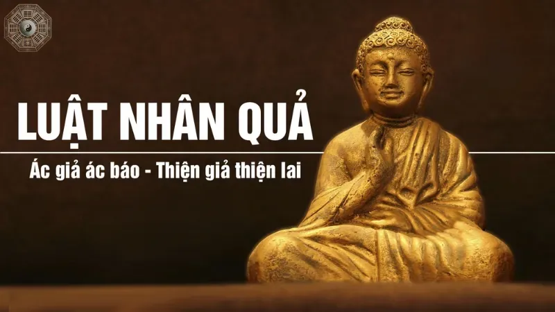 Khái niệm nhân quả