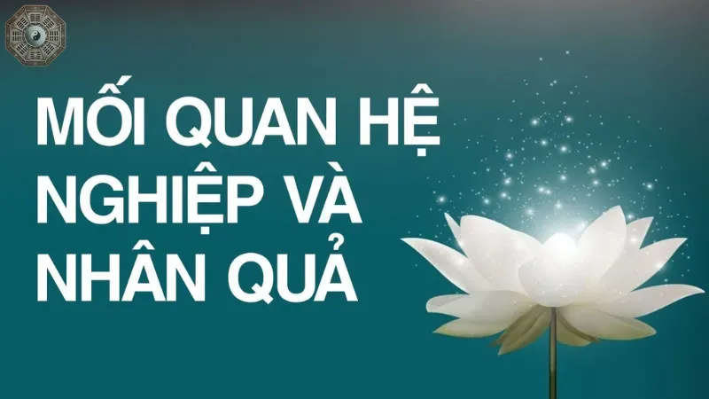 Mối liên hệ giữa nghiệp và nhân quả