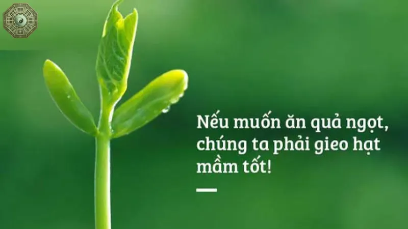 Ý nghĩa của nghiệp và nhân quả trong cuộc sống