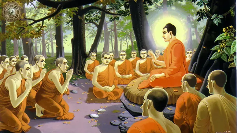 Giới thiệu về ngũ căn