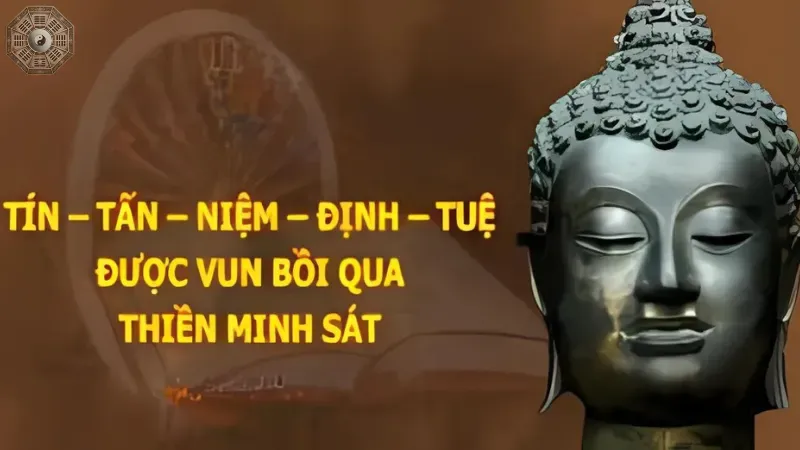 Chi tiết về từng căn