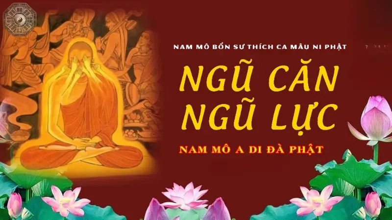 Ngũ căn và ngũ lực có liên quan như thế nào?