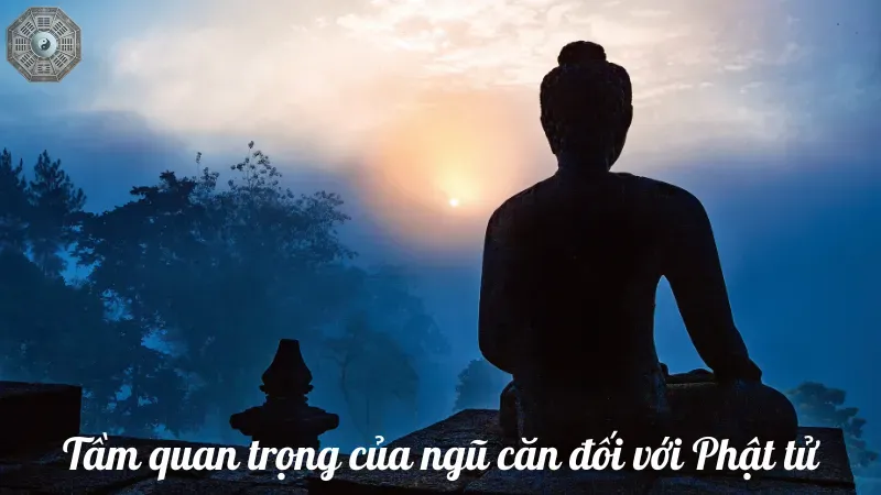 Tầm quan trọng của ngũ căn đối với Phật tử