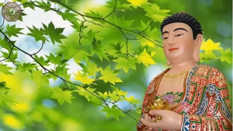 Hướng dẫn rèn luyện ngũ căn trong cuộc sống