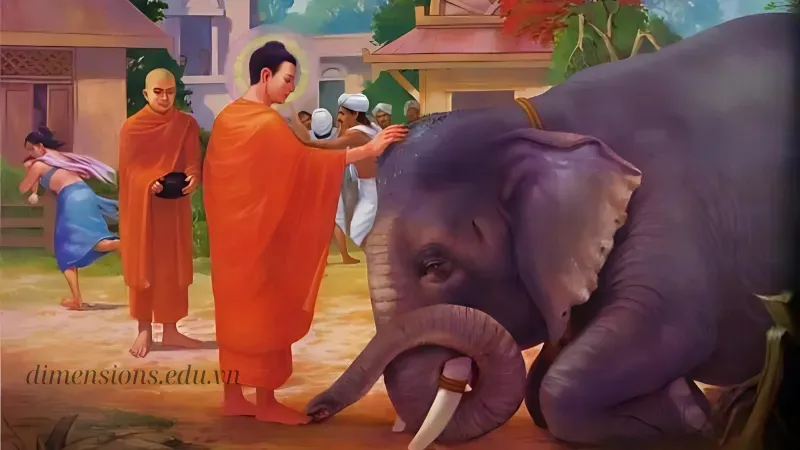 Ý nghĩa của việc thực hành Ngũ Giới