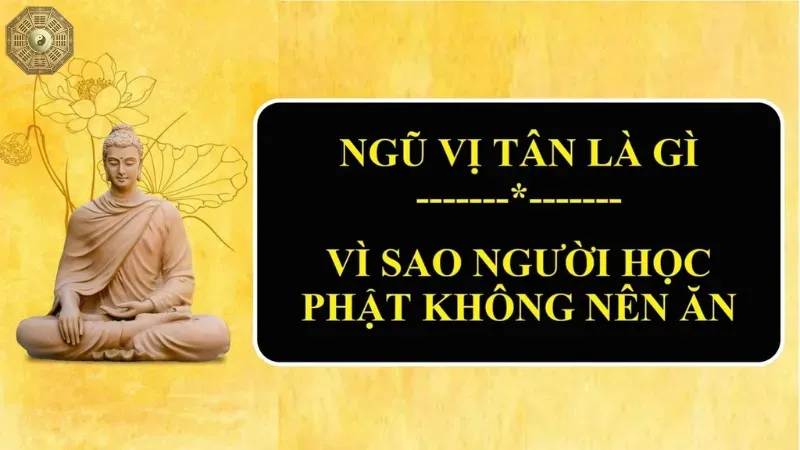 Ngũ vị tân là gì?