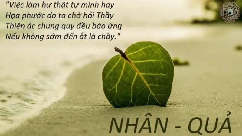 Nhân quả là gì?
