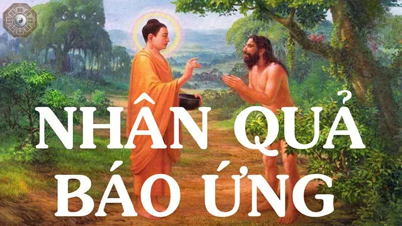Ví dụ thực tế về nhân quả