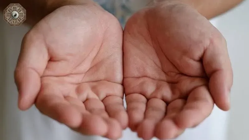 Nhân tướng học bàn tay - Khám phá chi tiết về tính cách và vận mệnh 3