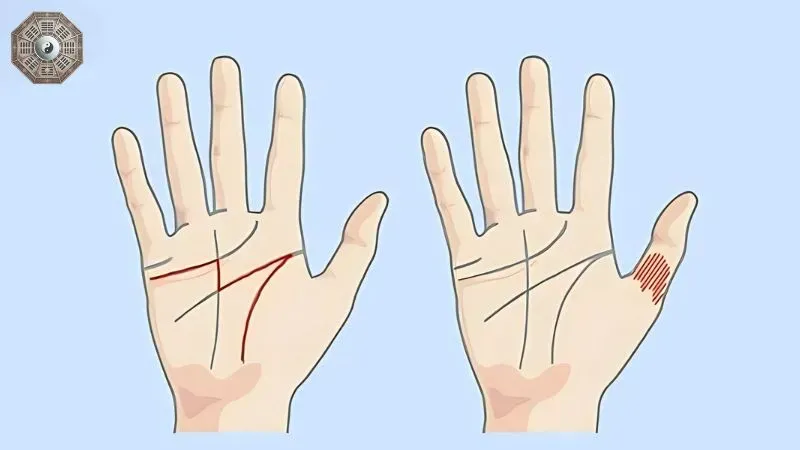 Nhân tướng học bàn tay - Khám phá chi tiết về tính cách và vận mệnh 4