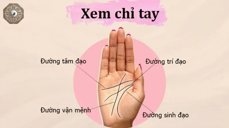 Nhân tướng học bàn tay - Khám phá chi tiết về tính cách và vận mệnh 5