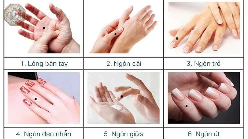 Nhân tướng học bàn tay - Khám phá chi tiết về tính cách và vận mệnh 6