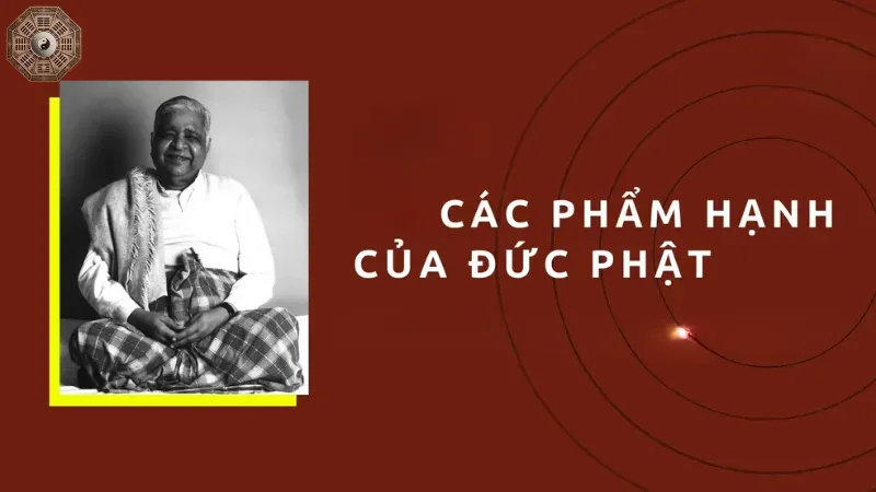 Các phẩm hạnh quan trọng trong cuộc sống
