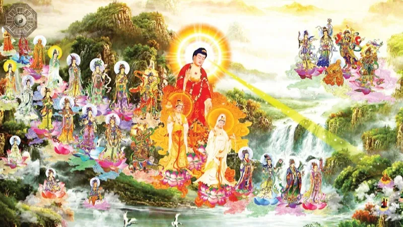 Những câu chuyện và trải nghiệm 