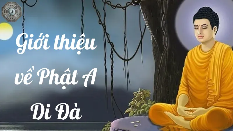 Giới thiệu về Phật A Di Đà