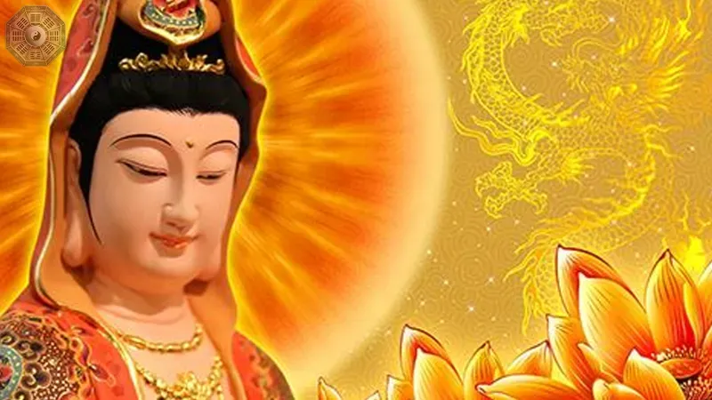Những câu chuyện linh ứng