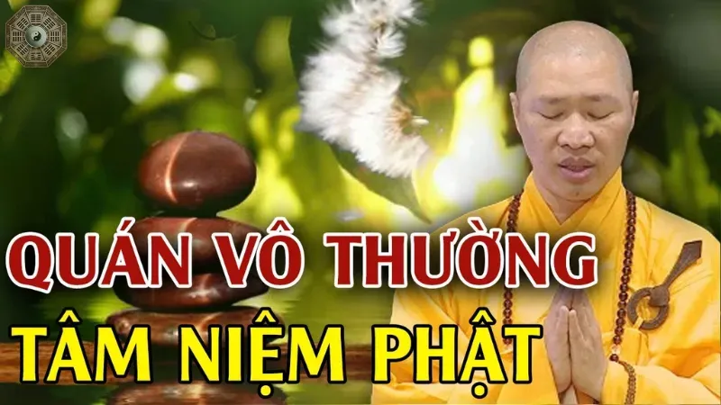 Tầm quan trọng của quán vô thường