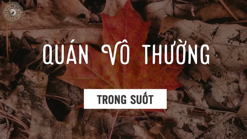 Ví dụ về vô thường trong đời sống hàng ngày