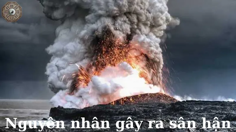 Nguyên nhân gây ra sân hận