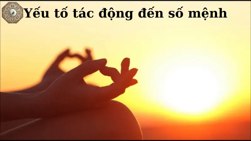 Yếu tố tác động đến số mệnh