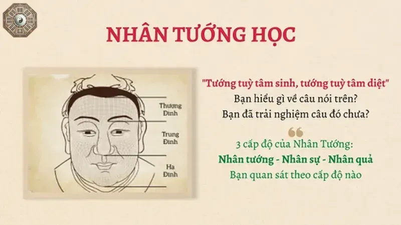 Ứng dụng nhân tướng học để xem số mệnh