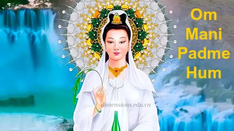Sự lan truyền và tầm ảnh hưởng trên thế giới