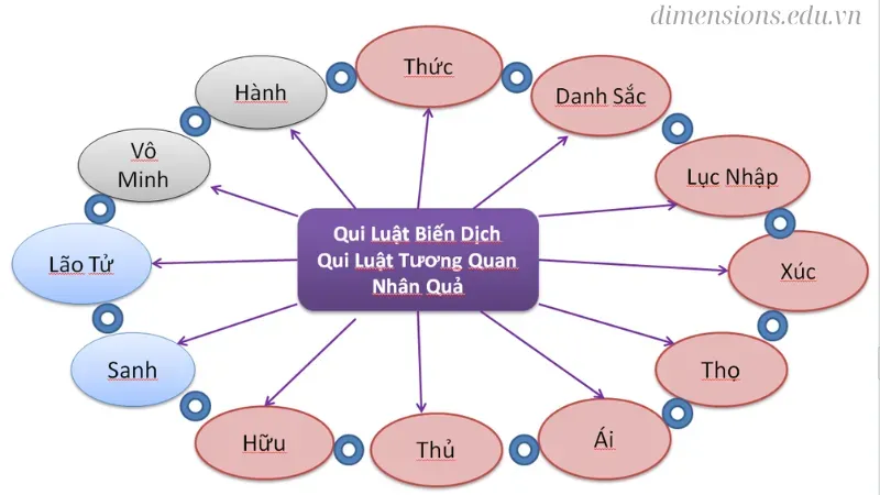 Ý nghĩa của Thập nhị nhân duyên