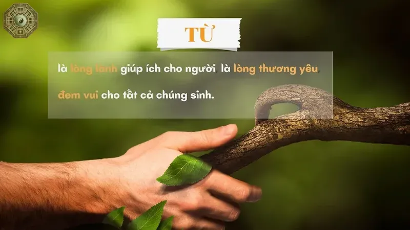 Từ trong từ bi hỷ xả