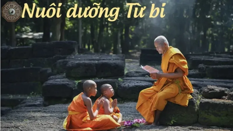 Cách nuôi dưỡng lòng từ bi
